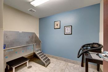 State-of-the-art dog wash station